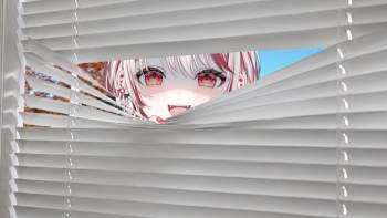 95564 B