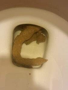 12239 B