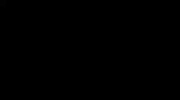 7986219 B