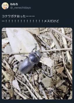 1116316 B