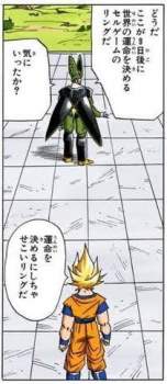 23247 B