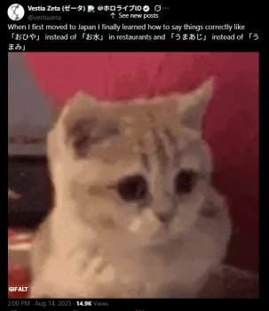 63678 B