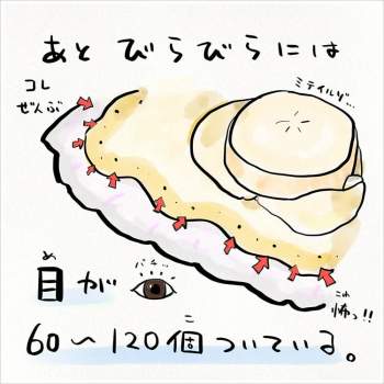 55530 B