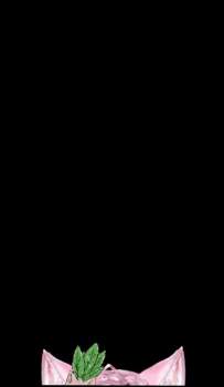 1379508 B