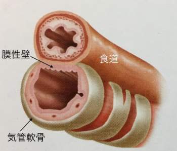 59207 B