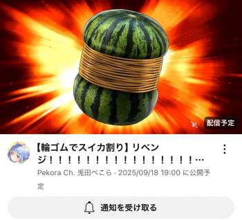 226681 B