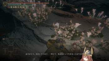 2804033 B