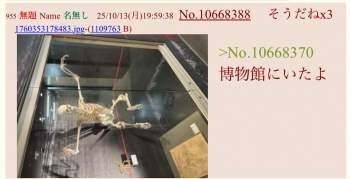 246603 B