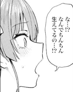 83351 B