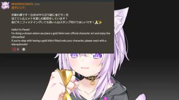 213303 B
