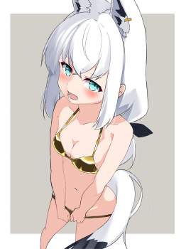 254543 B