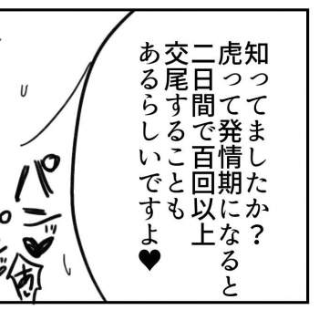 58022 B