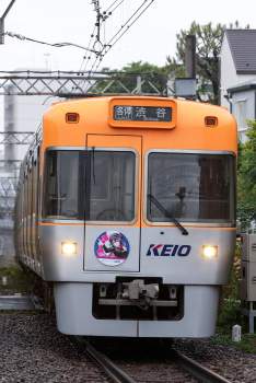 194034 B
