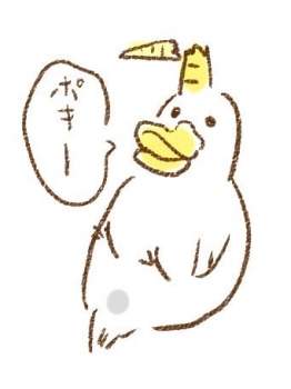 17025 B