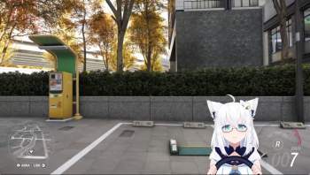 204057 B