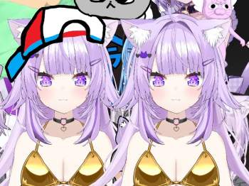 255581 B
