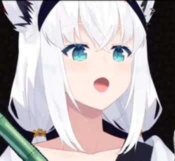 24195 B