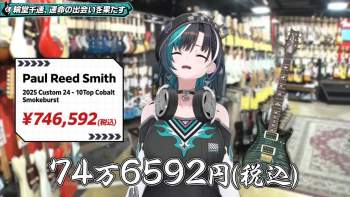 229365 B