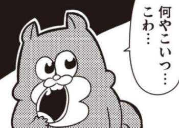 24344 B
