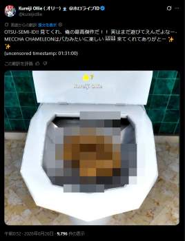 294831 B