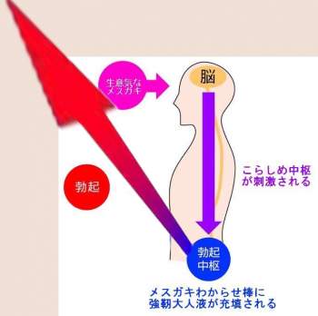 260913 B