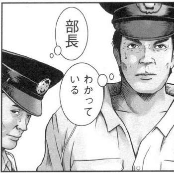 50396 B