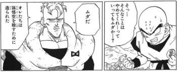 54051 B