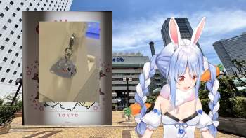 3134508 B