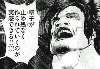 54528 B