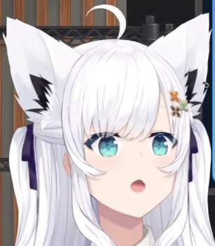 233064 B