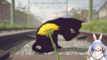 536456 B