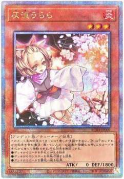 64556 B