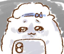 44529 B