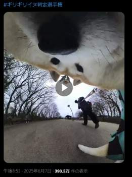 447508 B