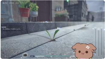 227257 B
