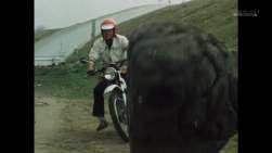 143653 B