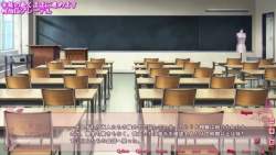 95501 B