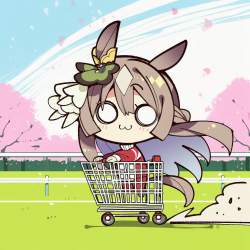 503955 B