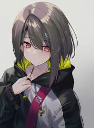 228441 B