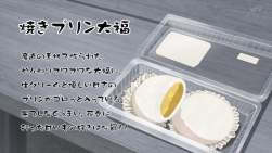 248231 B