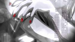 223706 B