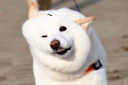 277292 B