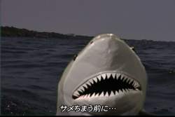 105499 B