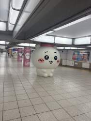 557572 B