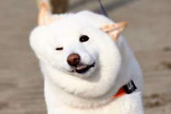 276999 B