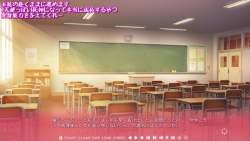 77033 B