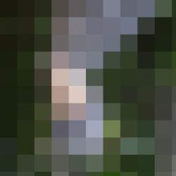 13254 B
