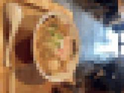 230255 B