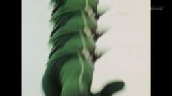 133291 B