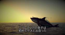 52424 B